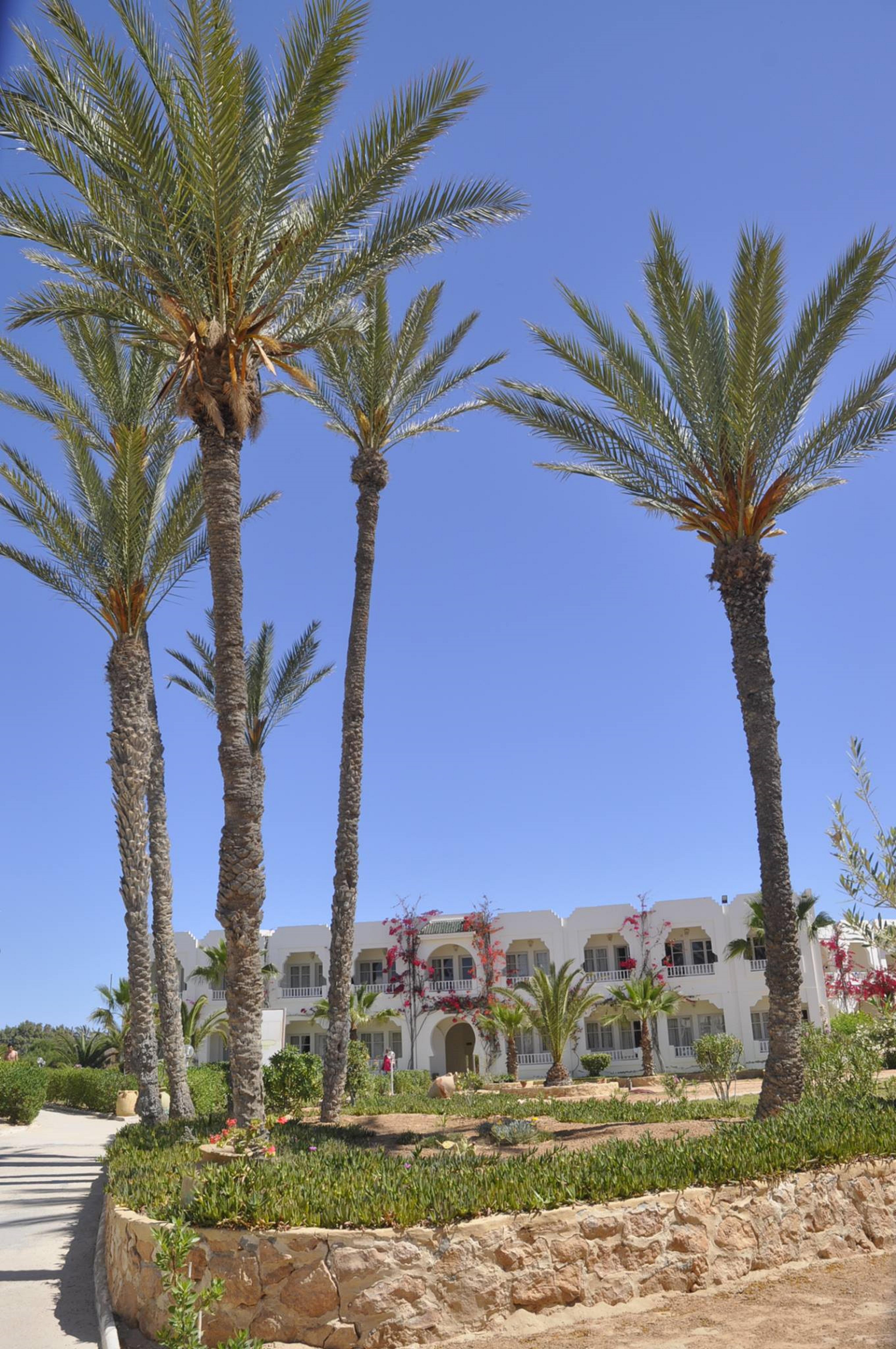 Jerba Sun Club Hotel Mezraia Eksteriør billede